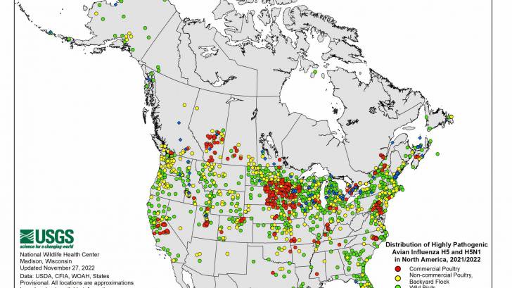 Bird flu cases 2022-2023