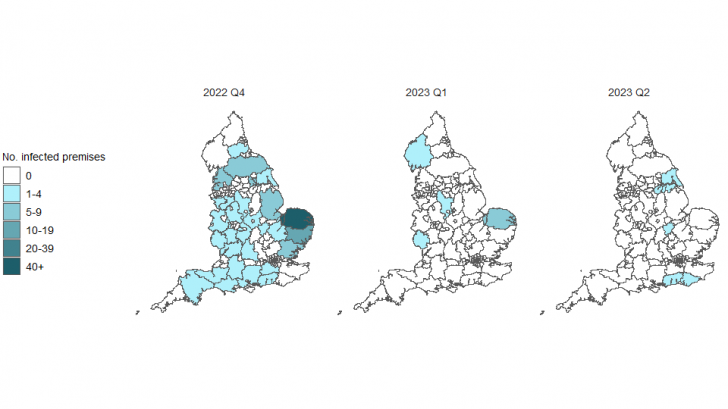 England bird flu outbreak