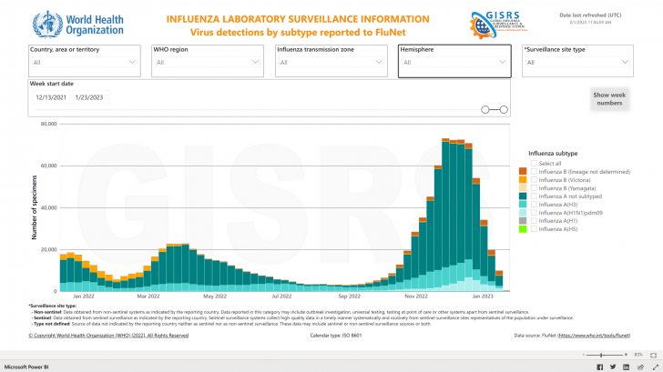 influenza cases worldwide