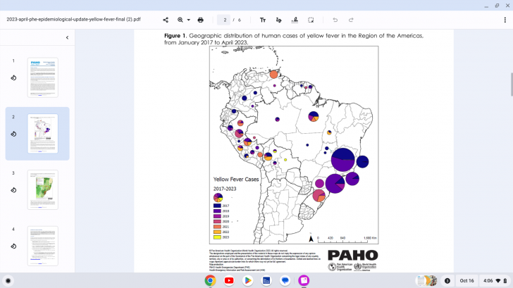 Yellow fever cases 2023