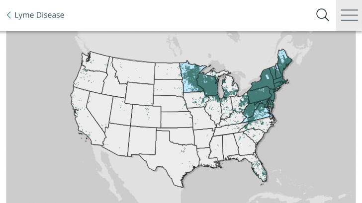 Lyme disease cases 2024