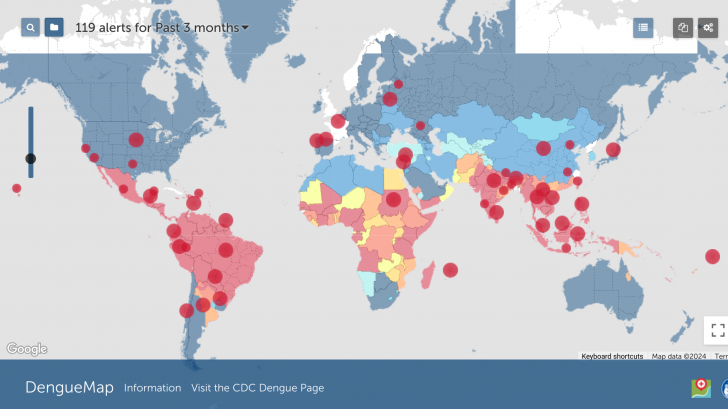 Dengue vaccine