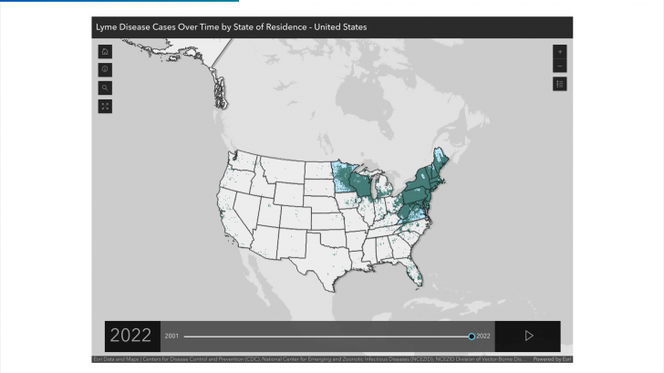 Lyme disease vaccine