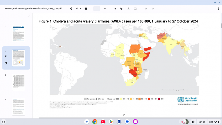 cholera vaccine