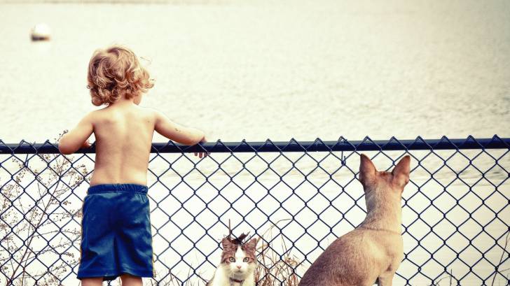 boy with his dog and cat