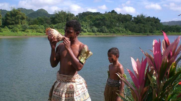 fiji beach and conch shells