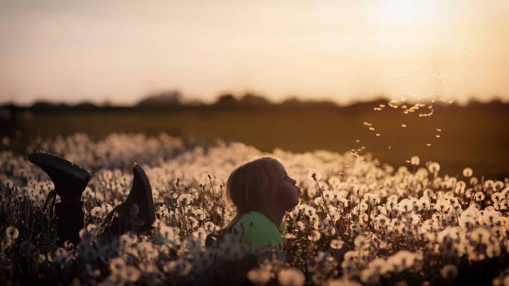 young girl blowing dandelions in a field