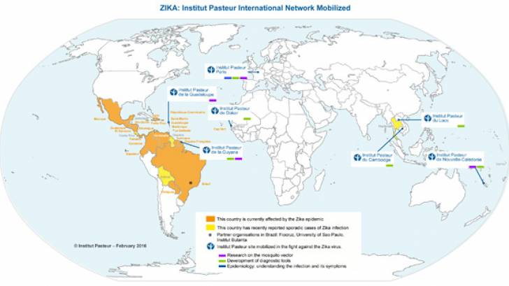 Zika vaccine