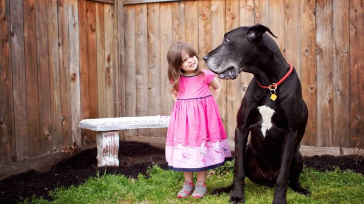 dog with little girl