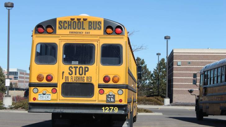 school bus in parking lot