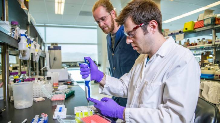 researchers working in a lab