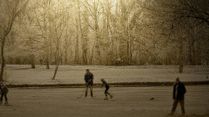 winter scene on a frozen pond