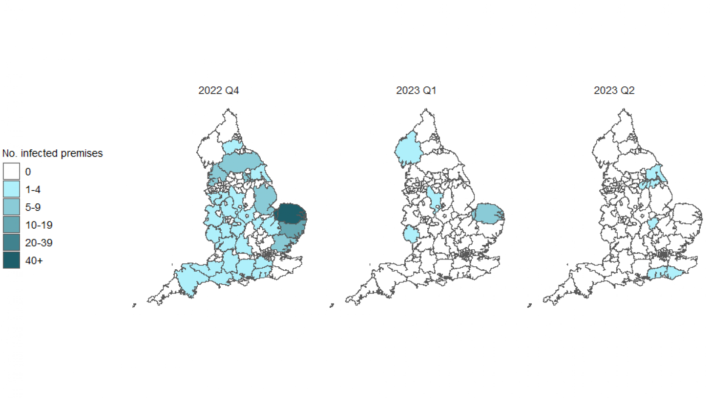 England bird flu outbreak