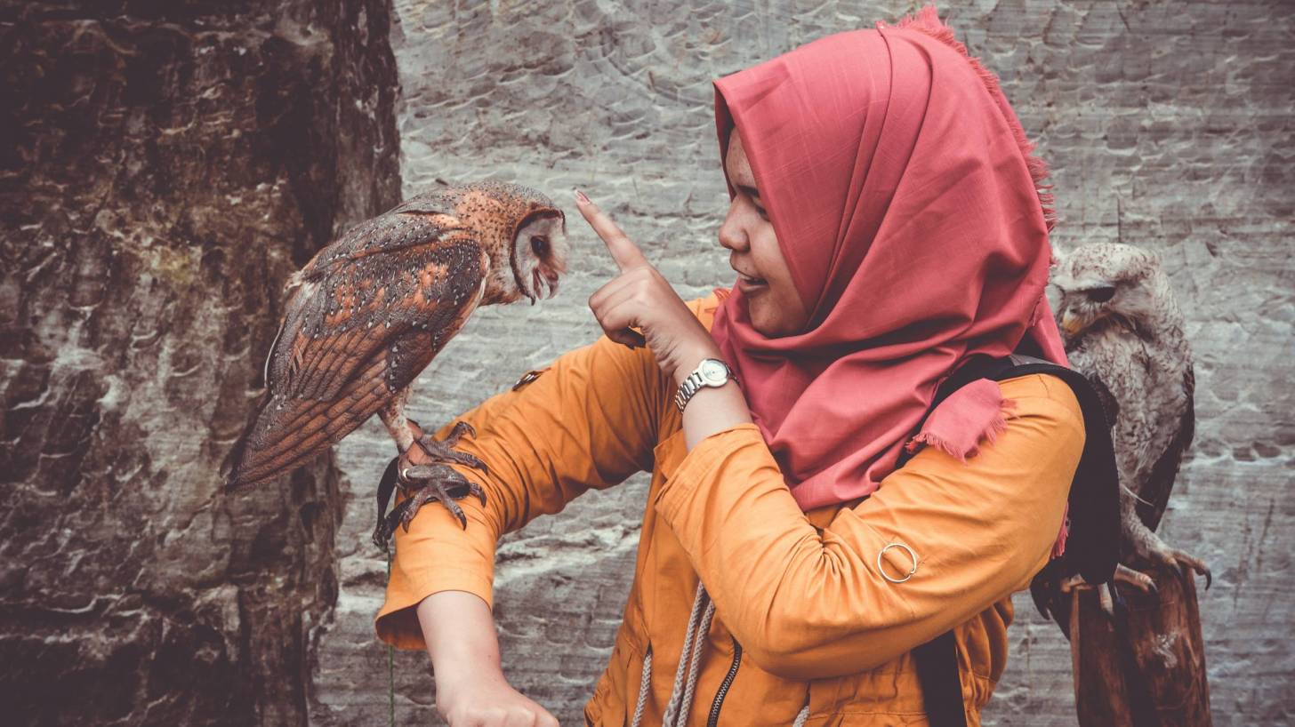 girl with owls