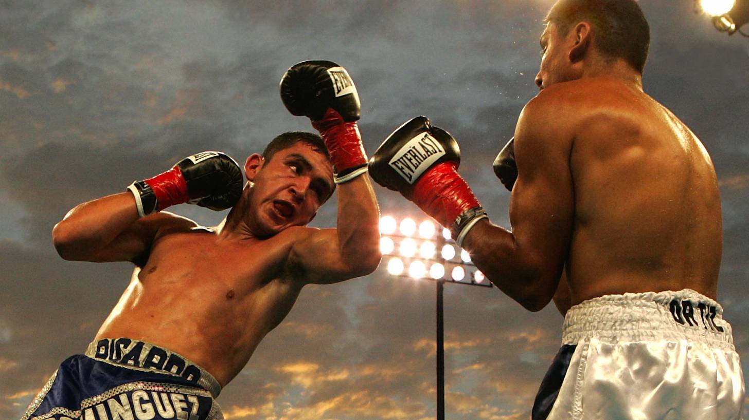 boxers in a ring