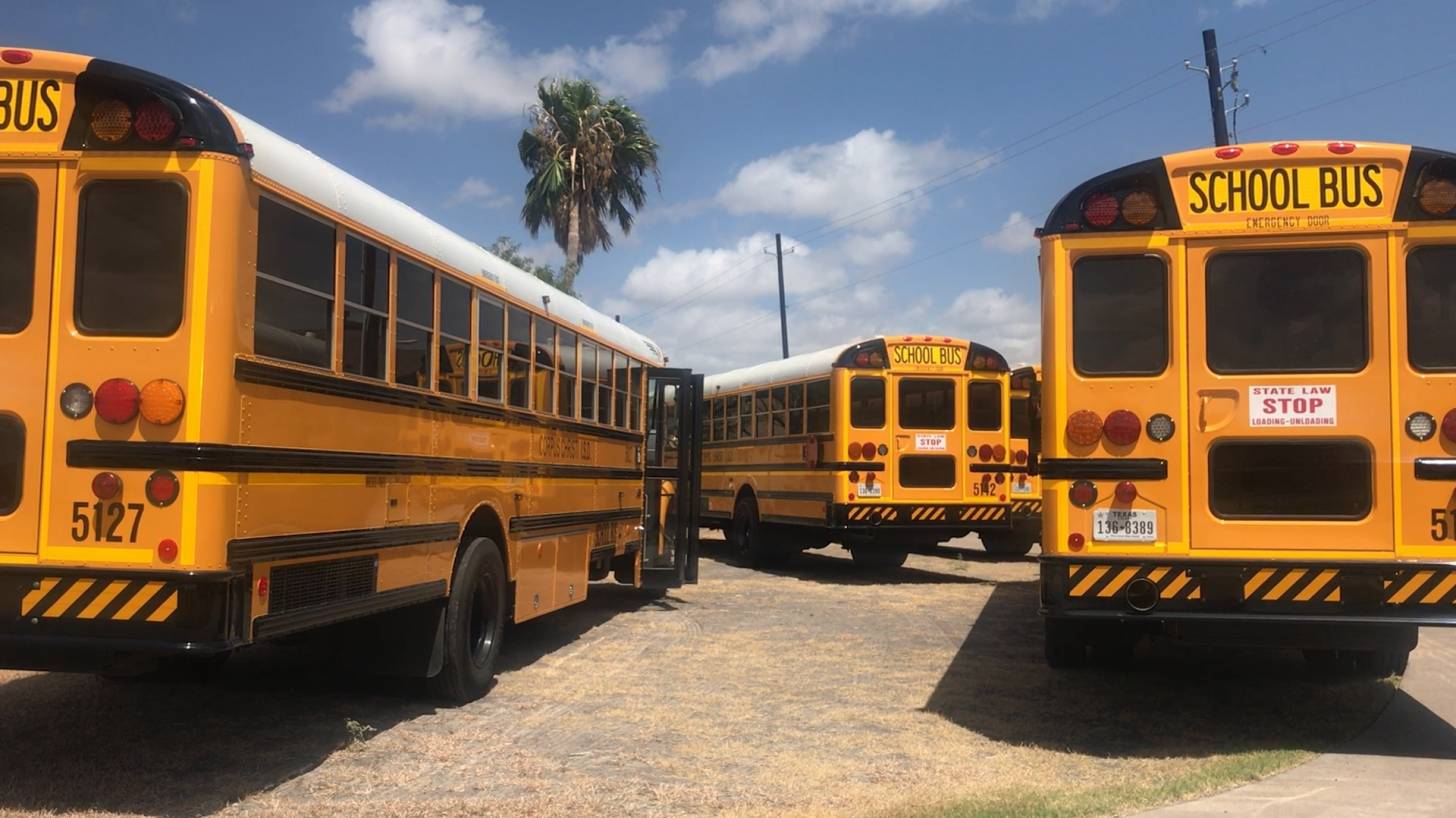 yellow school buses