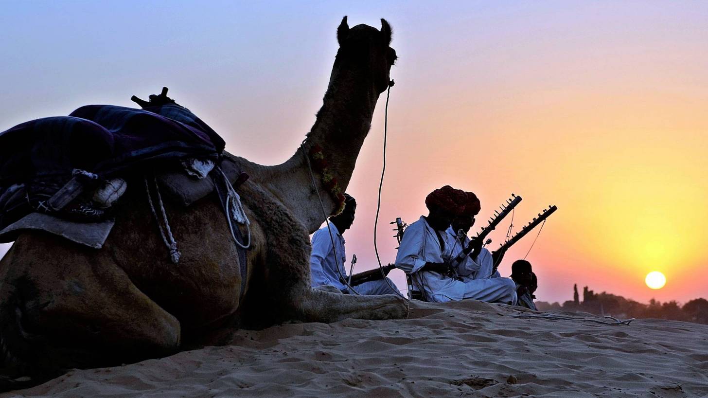 camel with theowners in the dessert at nightfall