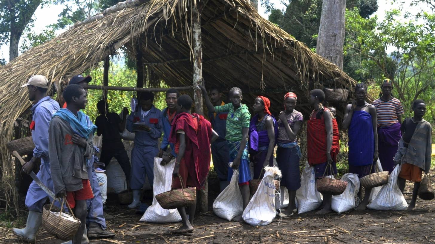 Ethiopians lining up for work and food