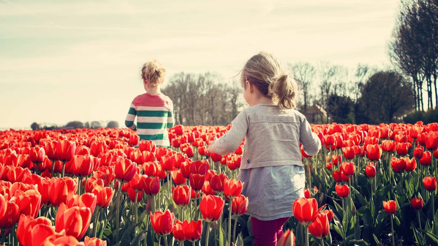 girls walking thru tulips