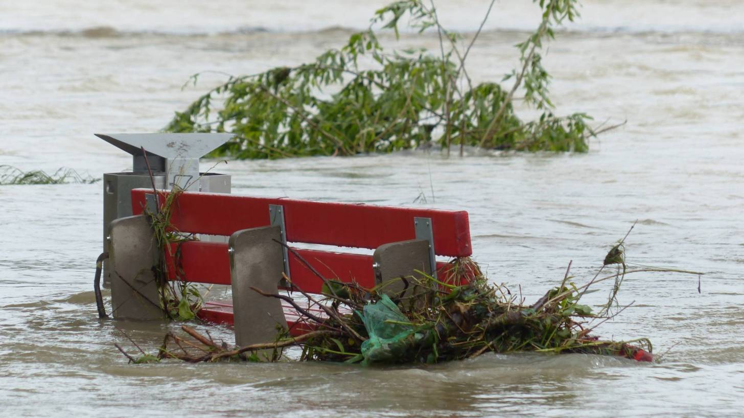 Flooded park with a park bench full of debris 