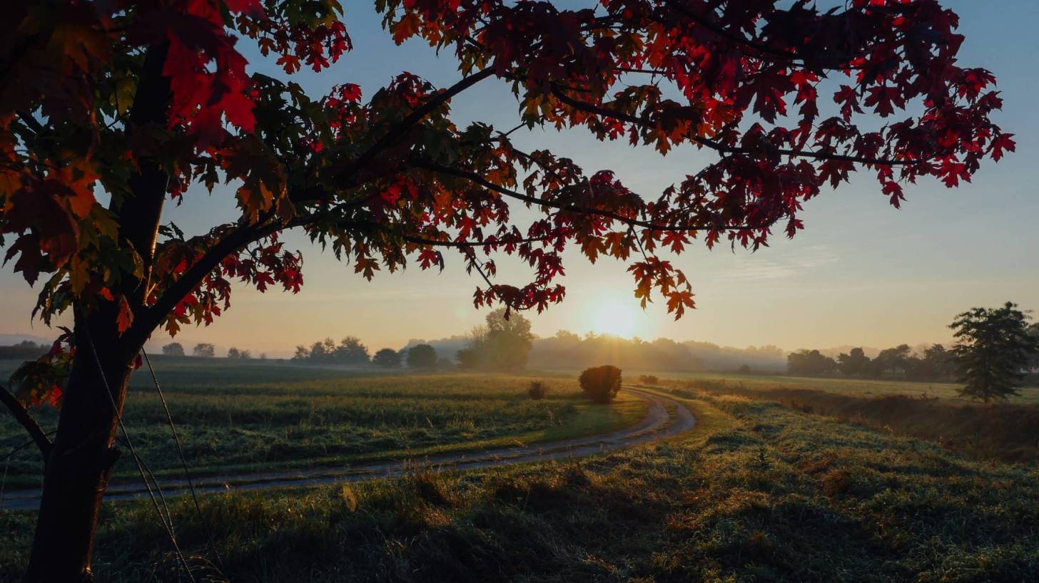 cool fall day sun rising