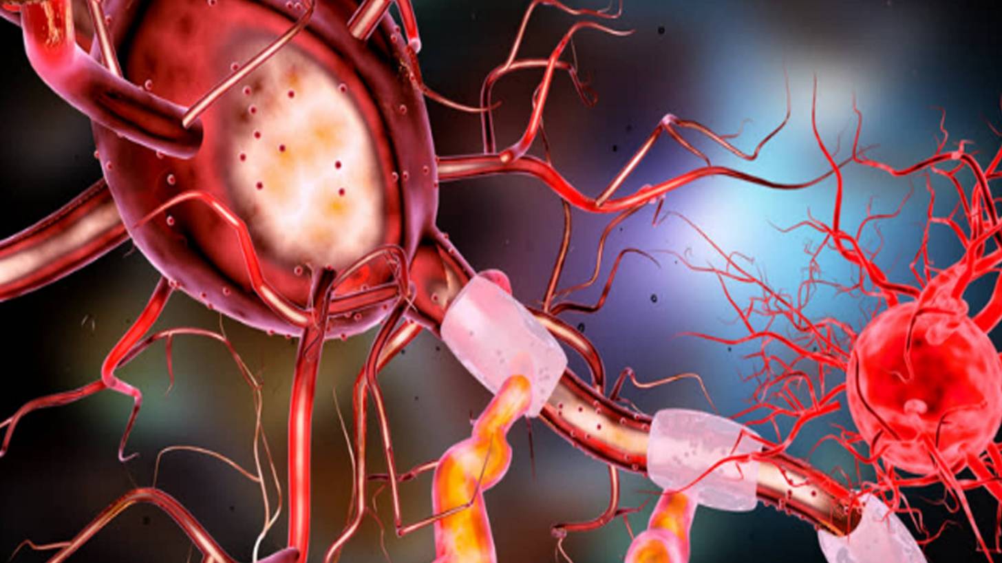 Brain neurons depiction