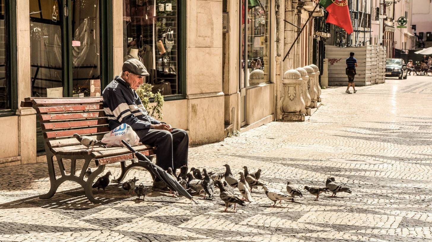 old man sitting on bench feeding birds