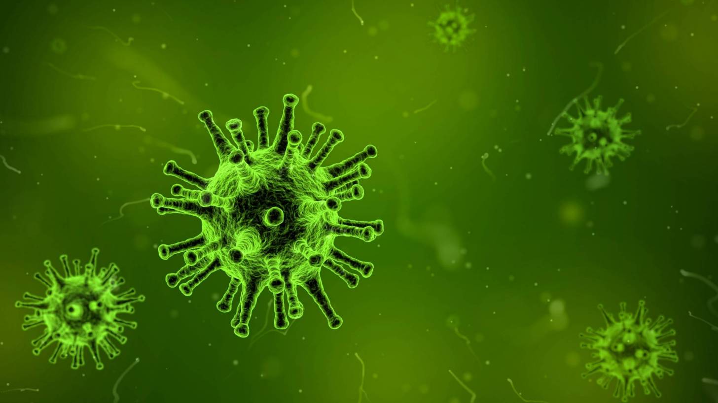 green virus depiction