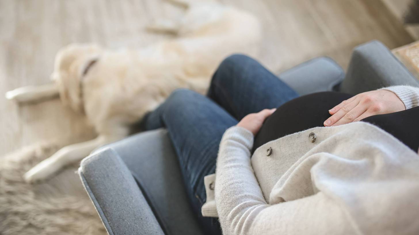 pregnant mom sitting on chair with dog at her feet