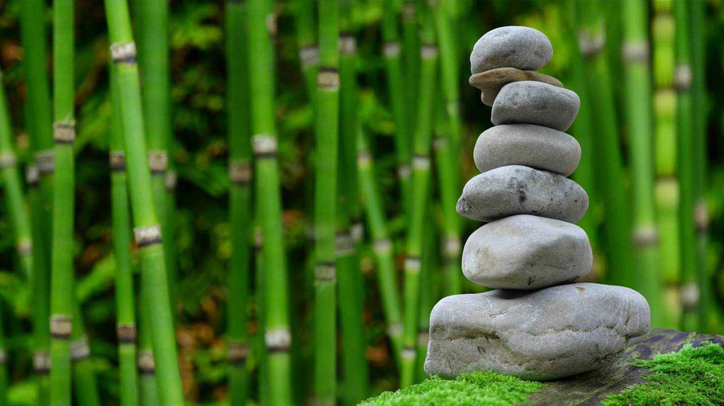 zen garden with bamboo