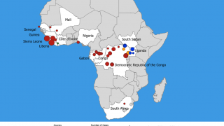 Ebola virus outbreaks