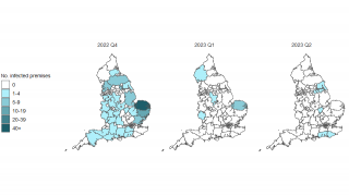 England bird flu outbreak