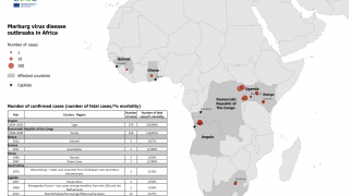 Marburg virus cases Africa