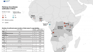 Marburg disease 2023