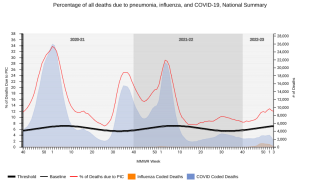 Pneumonia death rates in 2023