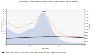 chart of PIC deaths