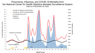 Pneumonia influenza fatalities 