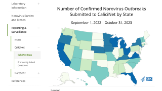 Norovirus