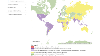 Zika cases 2024