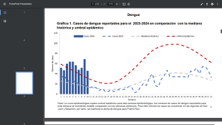 Dengue 2024