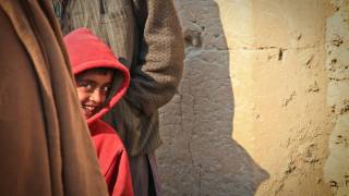 young boy hiding behind his parent