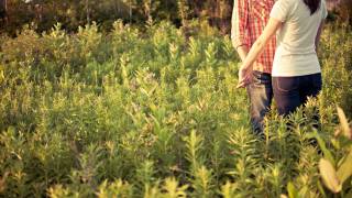 couple hugging in a field of flowers