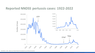 Whopping Cough case trends