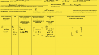 Yellow fever vaccine