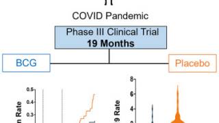 BCG vaccine