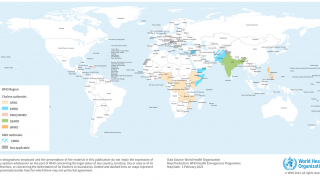 Cholera case map 2023