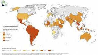 Zika vaccine