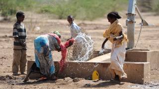 family splashing in a trough of clean water