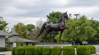 kentucky horse statue