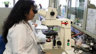 women doctor looking thru a microscope